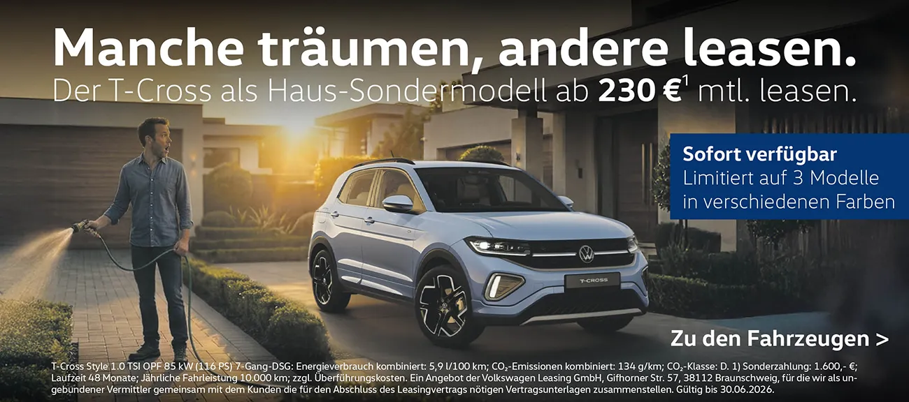 Slider T-Cross Hausmodell