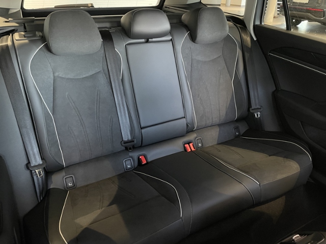 Passat Business  2,0 l TDI SCR 7-Gang-DSG